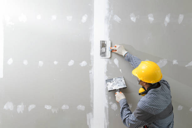 Best Mold Prevention Services  in Hampton, IA