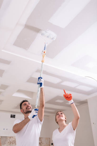 Best Mold Damage Restoration  in Hampton, IA