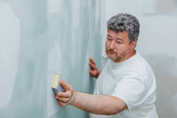 Best Crawl Space Mold Remediation  in Hampton, IA