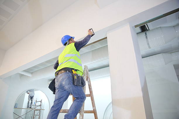 Mold Odor Removal Services in Hampton, IA