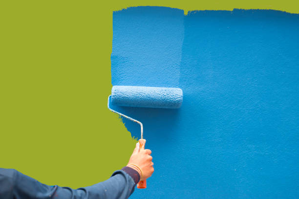 Trusted Hampton, IA Mold Removal Experts